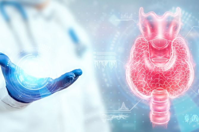 Štitna žlezda ultrazvuk lekar doktor endokrinologija Štitna žlezda ultrazvuk lekar doktor endokrinologija