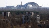 Ovo zaista niko nije očekivao: Mutirani vukovi iz Černobilja postali otporni na rak!