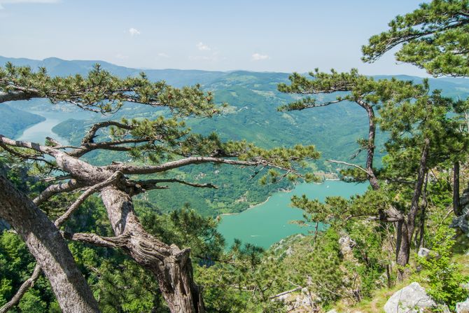 Tara, jezero Perućac