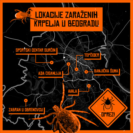 Lokacije u BG na kojima ima zaraženih krpelja, Mapa