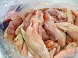 Pokvareno meso, piletina