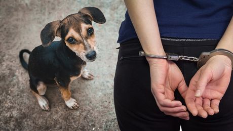Uhapsili ženu koja je ubila štene