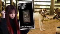 "Plačem, želim joj sve najgore u životu...": Breskvica slomljena nakon snimka na kom žena zverski ubija psa