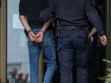 Hapšenje lisice policija