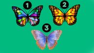 Test ličnosti: Izaberite leptira i saznajte da li ste kreativnog uma