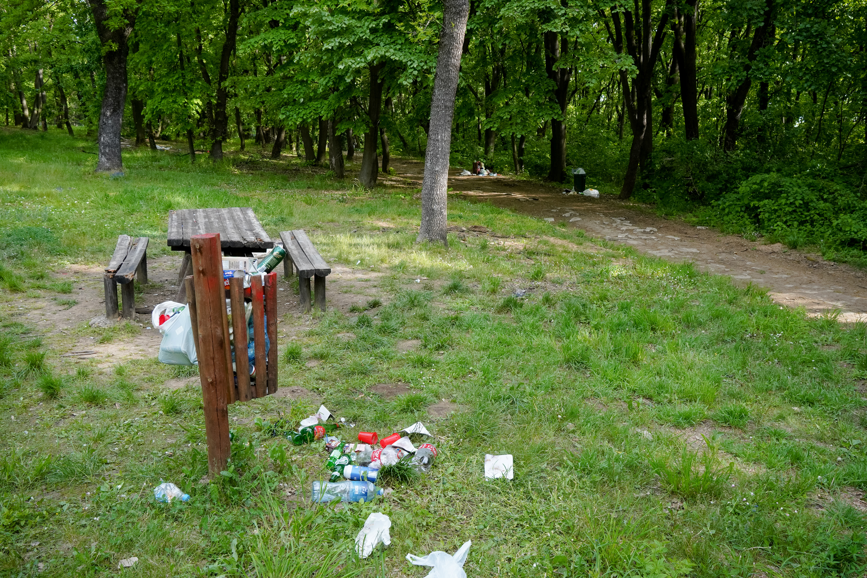 Neverica nakon festivala: Meštani pronašli fekalije u šumi, organizator tvrdi da nije znao ništa