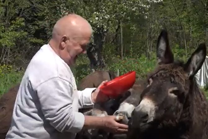 Zoran Pacić, magarac, magareći raj,