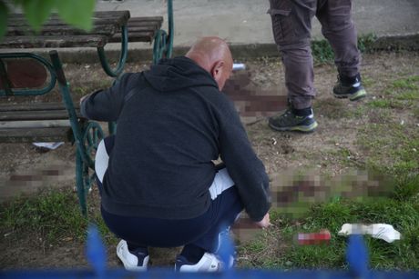 Masakr u Mladenovcu, Selo Dubona blur