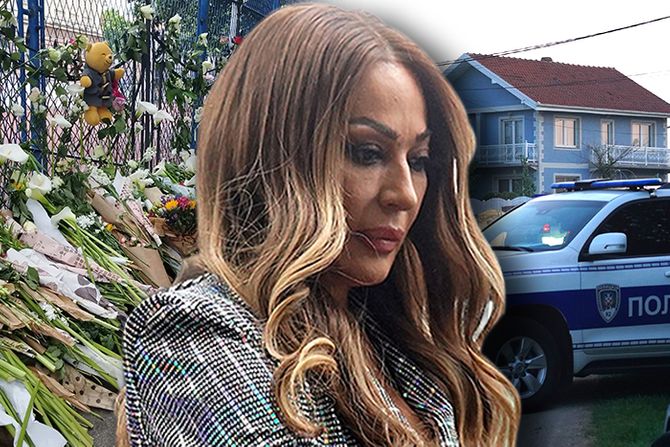 Svetlana Ceca Ražnatović Škola Vladislav Ribnikar Mladenovac Svetlana Ceca Ražnatović Škola Vladislav Ribnikar Mladenovac