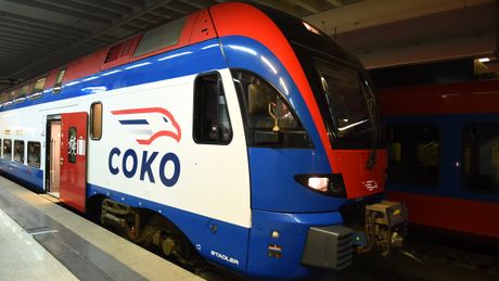 Voz Soko