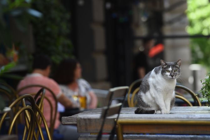 Beograd sunčan dan