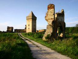7 Tvrđava na Dunavu. Bačka tvrđava