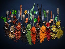 Začini i lekovite biljke