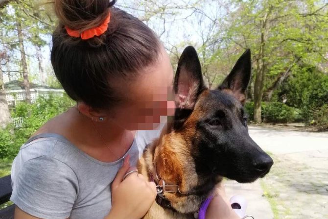 Novi Sad pucnjava Novi Sad pucnjava