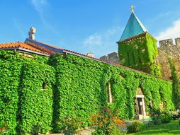 Crkva Ružica, Kalemegdan