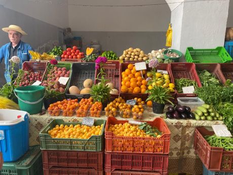Đerba, market, Tunis