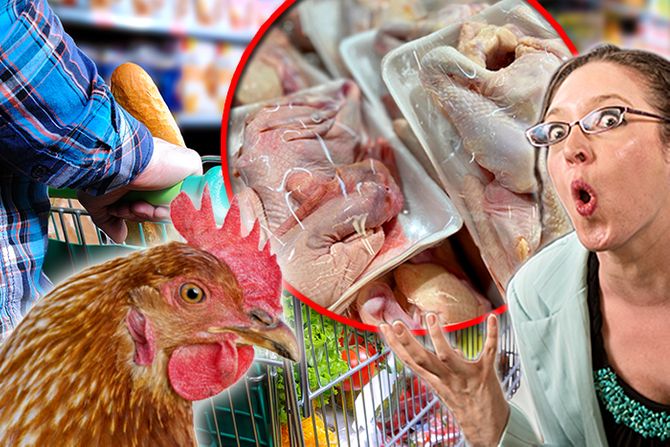 Pilići piletina supermarket ljute mušterije Pilići piletina supermarket ljute mušterije