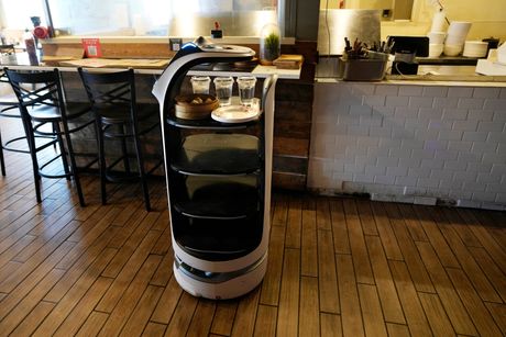 robot, robot kelner, restoran