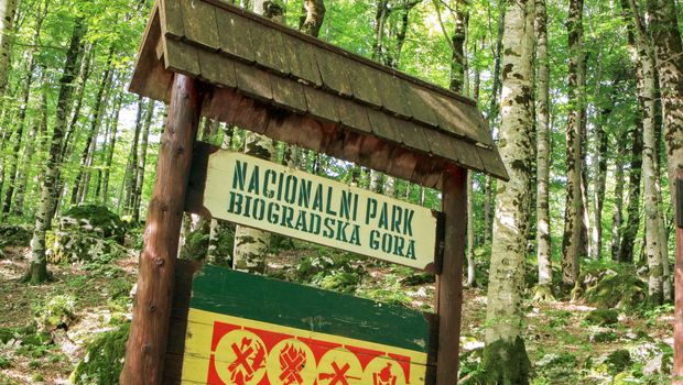 Nacionalni park Biogradska gora, Crna Gora