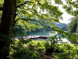 Nacionalni park Biogradska gora, Crna Gora