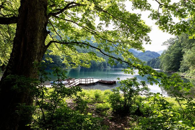 Nacionalni park Biogradska gora, Crna Gora