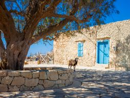 Ostrvo Gavdos, Grčka