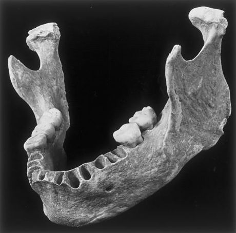 pestera cu oase, Pećina sa kostima, Rumunija