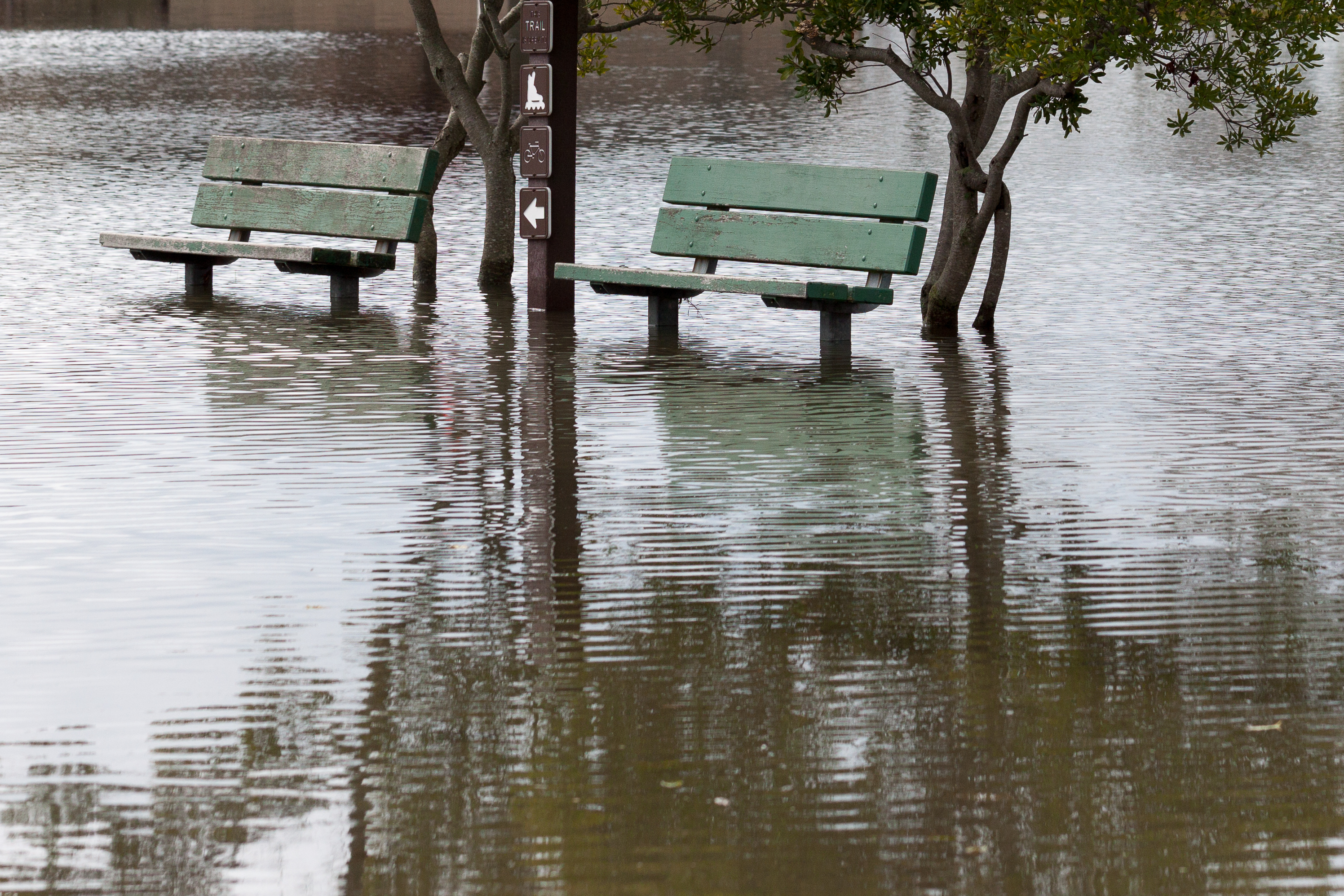 Najmanje četvoro poginulih u poplavama u Omanu, potraga za nestalim traje