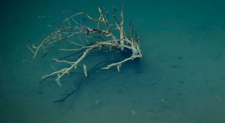 Death pool Death pool