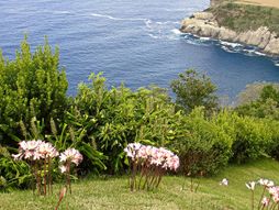 San Migel, Azorska ostrva, Azori