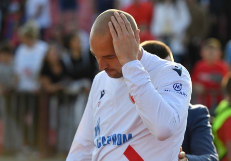 Milan Borjan, FK Crvena zvezda