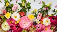 20 značenja cvetova i šta oni simbolizuju: Odličan način da kažete, pa.. bilo šta!