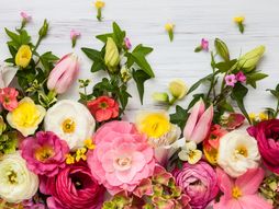 Cveće, cvetovi, cvet, biljke, bašta, buket