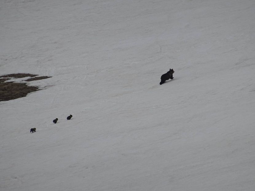 3458623491056615608648156318997813459236