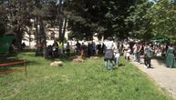 Oživeli doba Nemanjića u Negotinu: Prvi viteški festival, deca i odrasli uživali u mačevanju