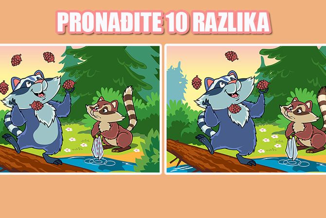 Skrivalica pronađi razliku pronađite 10 razlika rakuni