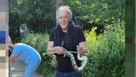 Owner of escaped python that showed up on football pitch in Subotica found: He faces criminal charges