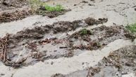Vanredna situacija u Babušnici: Kiša i poplave, problemi sa strujom i vodom u selima
