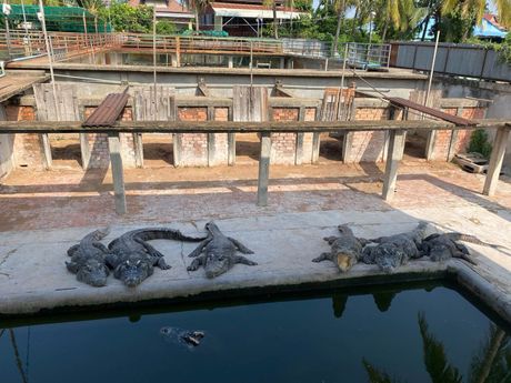 Luan Nam, krokodili pojeli čoveka Kambodža