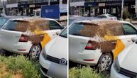 Snimak s parkinga na Mirijevu: Pčele blokirale automobil, vozač mora polako da uđe da "izbaci maticu"