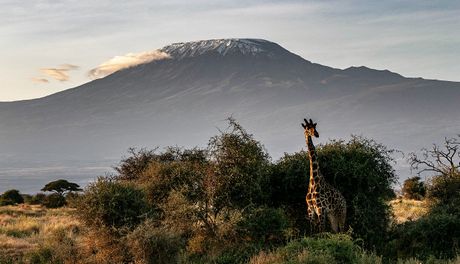 Kilimandžaro, Tanzanija Kilimandžaro, Tanzanija
