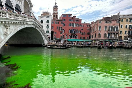 Italija Venecija kanal zelena voda