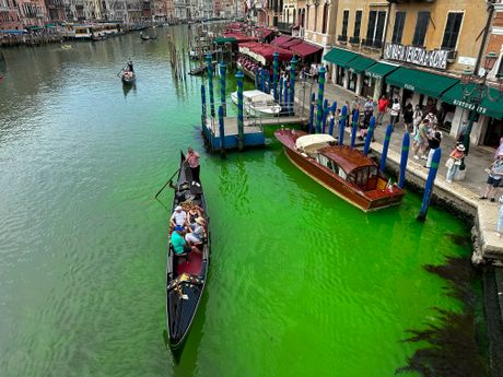 Venecija, zagađenje voda fluorescentno zelena