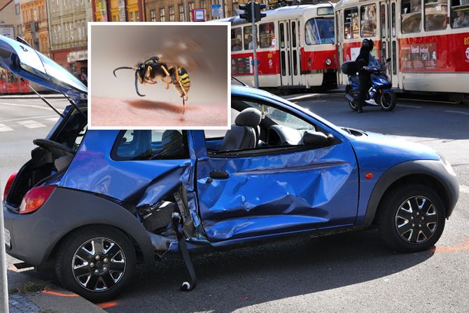 Saobraćajna nesreća tramvaj auto kola sudar osa pčela