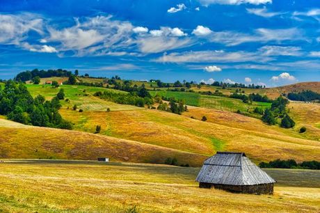 Zlatibor Zlatibor