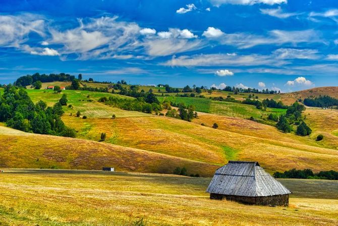 Zlatibor