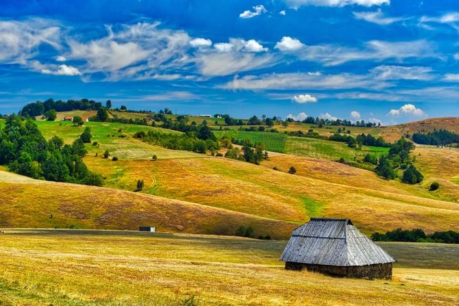 Zlatibor Zlatibor