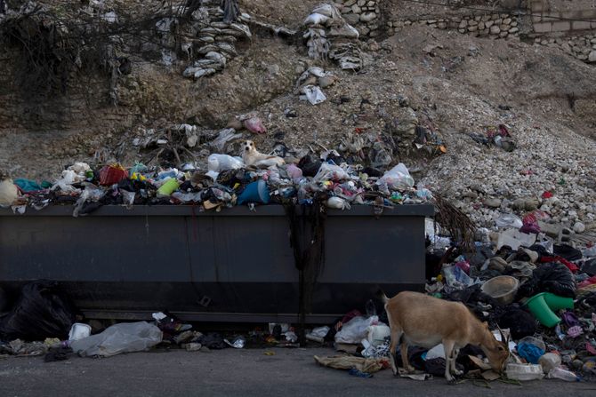 Haiti, nasilje i beda