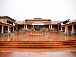 Viminacijum, ostaci broda, ostaci mamuta