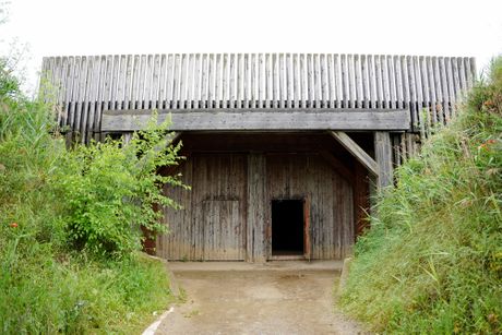 Viminacijum, ostaci broda, ostaci mamuta